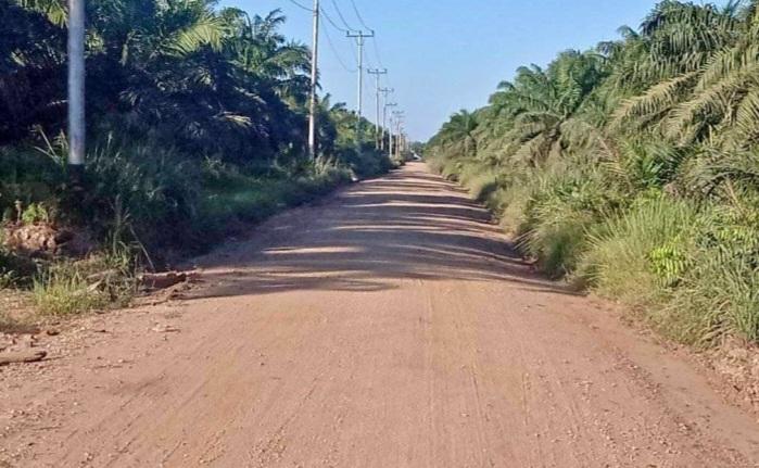 Pengawasan Lalu Lintas Benis Sawit Diperketat Lewat Bandar Udara di Palembang