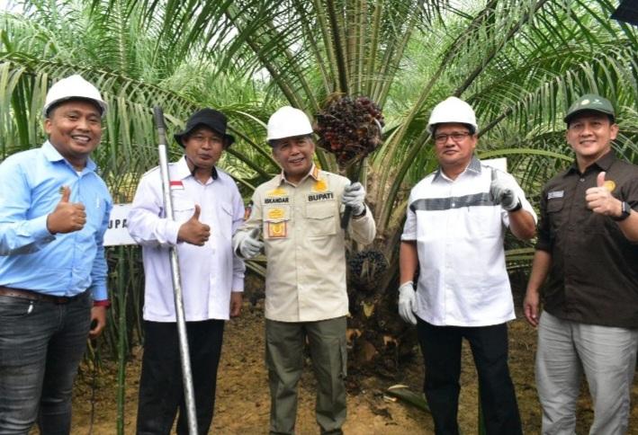 Panen Lebih Cepat, Hasil Meningkat dan Petani Sejahtera di OKI