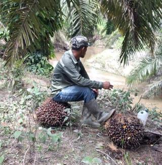 Waka Komisi V DPRD Riau: DBH Sawit Belum Cukup Perbaiki Infrastruktur Rusak