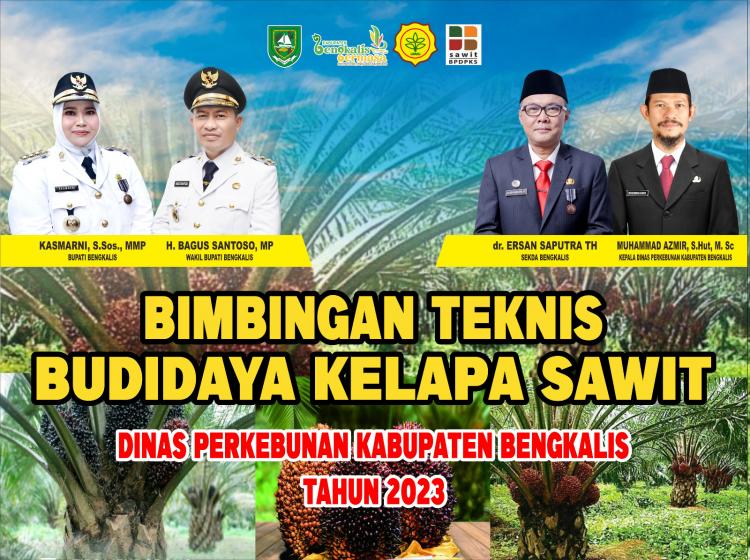 Disbun Bengkalis Taja Bimtek, M Azmir: Tingkatkan Kapasitas Pekebun Sawit 