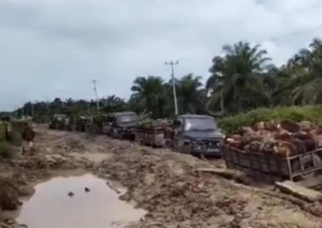 Viral! Petani Angkut Sawit 16 Mobil Saling Tarik di Jalan Berlumpur di Dumai