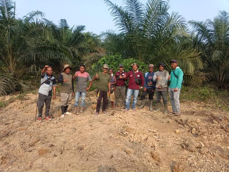 Ikuti Program PSR, 85 Hektar Kebun Sawit Petani Dharmasraya Direplanting