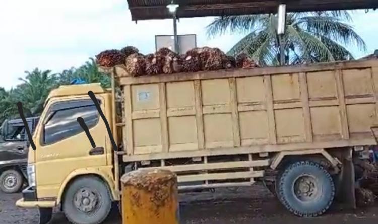 Petani Sawit Bisa Minta Truk ke BPDPKS Lho, Gini Caranya!