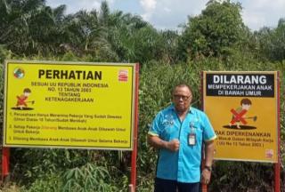 Jalur Kacau Proses Pengajuan Bikin Program Replanting Stagnan di Jambi