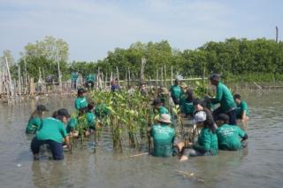 Mau Tahu Capaian LindungiHutan Sepanjang 2023, Ayo Cek Di Sini!