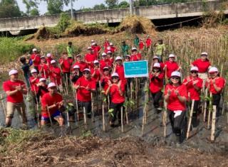 Peduli, Yayasan WINGS Tanam 500 Mangrove di Program #WINGSPeduliLingkungan