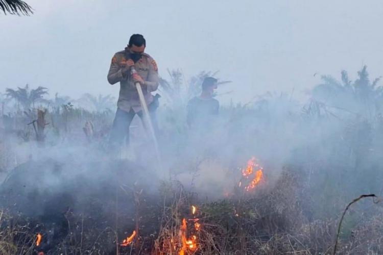 Peningkatan Titik Panas di Sumatera: Riau Catat Angka Tertinggi