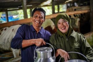 Jaga Ketahanan Pangan Lewat Pemberdayaan Peternak Sapi Perah Lokal