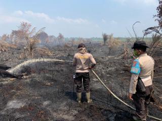 Tiga Desa Membara, 311 Hektar Lahan Gambut di Inhu Terbakar