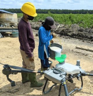 Halo Robotics Melawan Hama Tanaman Eukaliptus Pakai Drone Pertanian DJI Agras