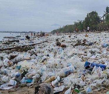 Limbah Plastik Ancam Lingkungan, Masindo Dorong Penguatan Edukasi Sadar Risiko