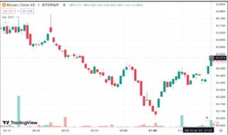 BTC Melesat Tembus $65.000 USD Didukung Elektabilitas Donald Trump