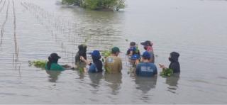 PFI Mega Life bersama LindungiHutan Tanam Mangrove di Pantai Bahagia Bekasi