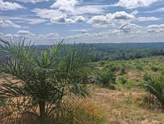 LKLH Berjuang Bebaskan Kebun Sawit Rakyat Dalam Kawasan Hutan di Sukarame Baru