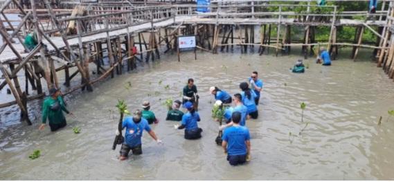 Program CSR PT OBF Tanam Seribu Mangrove di Ekowisata Mangrove Wonorejo Surabaya