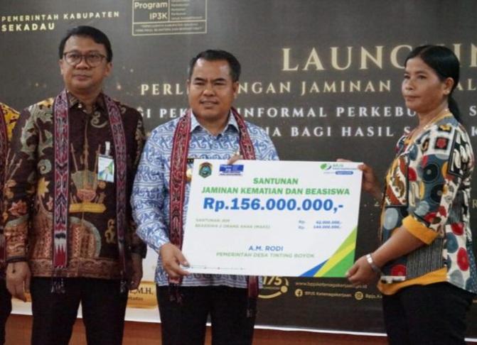 Begini Cara Pemkab Sekadau Antisipasi Pekerja Sawit Masuk Jurang Kemiskinan