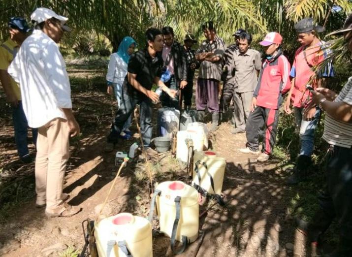 Seru Petani Sawit Gunakan Pupuk Hayati Mikroba Dongkrak Produksi