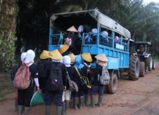 Halo.., Industri Sawit Kalbar Lindungi Hak Pekerja Perempuan!