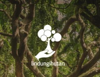 LindungiHutan Rilis Policy Review Tentang Tumpang Tindih Pengelolaan Mangrove di Indonesia