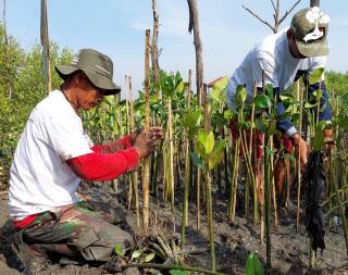 Menurut CEO LindungiHutan, Ini Makna Kemerdekaan dan Pelestarian Lingkungan