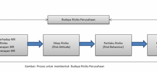 Peran Penting Pemerintah Bangun Budaya Sadar Risiko di Indonesia