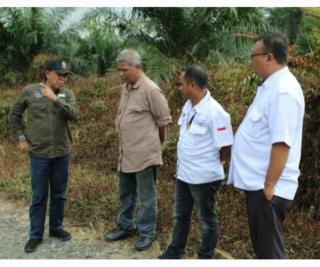 Lahan Seribu Hektar Diintesifikasi Untuk Bantuan Pupuk dan Herbisida ke Petani Sawit 4 Desa