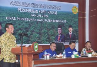 Disbun Bengkalis Perkenalkan STDB di Sosialisasi Pendataan Kebun Sawit Rakyat