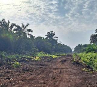 Tim SBI Urai Kemelut Program PSR di Dua Provinsi