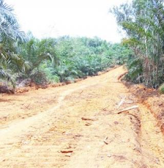 Pemkab Sekadau Buka Akses Jalan Warga Tiga Dusun Sentra Sawit di Desa Mondi Sumringah