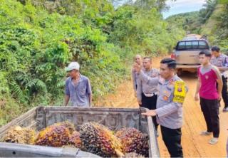 Di Kotim 4.400 Petani Sawit Sudah Dilindungi Jamsostek, Iurannya Dibiayai DBH Sawit