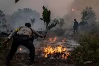 Pemprov Riau Resmi Tetapkan Status Siaga Darurat Karhutla