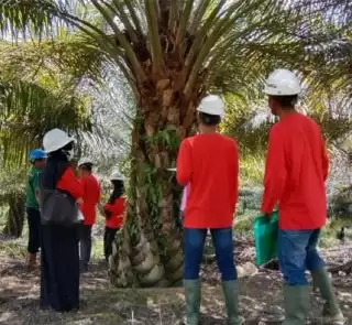 Ditunjuk Jadi Narsum dan Fasilitator, PT PLB Contoh Perkebunan Sawit Pengelolaan Bagus