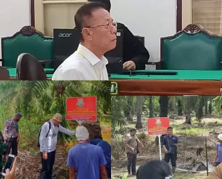 Perambah Hutan Margasatwa Langkat Divonis 10 Tahun, Denda Rp856 Miliar, Tapi Masih Berkeliaran