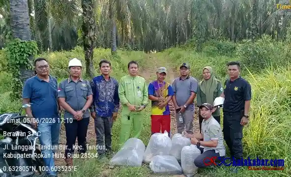 PKS PT SSM Bandal! Tabur Bibit Ikan Cuma Sandiwara, Sungai Bawak Dicemari Dijadikan Aset Propaganda
