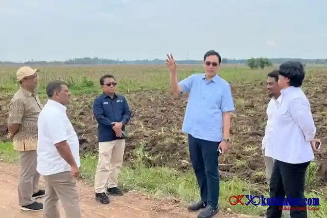 Dukung Program Mandiri Energi Nasional, Holding PTPN Siapkan 10 Ribu Hektar Lahan Singkong di Lampung