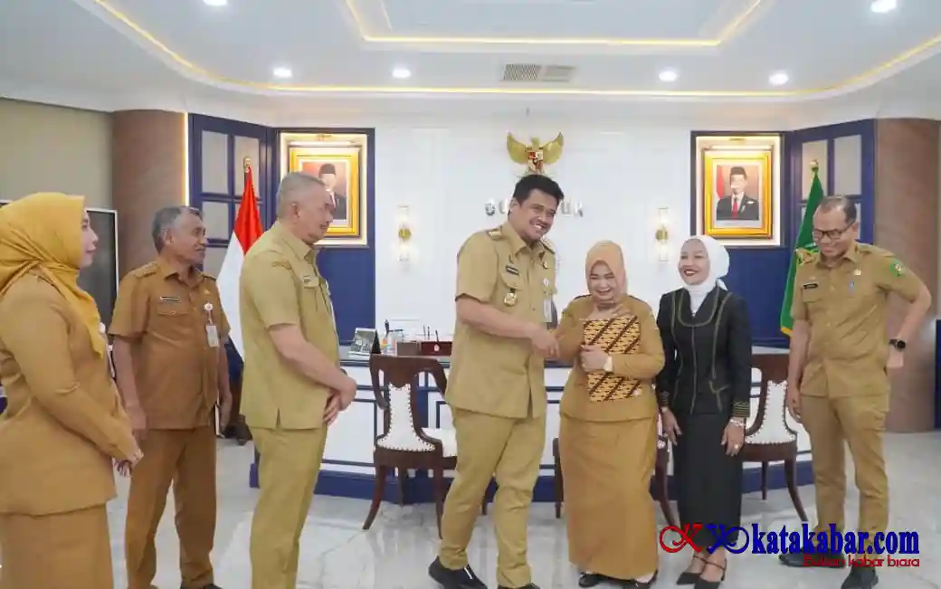 Mendagri Tunjuk Tiorita Surbakti sebagai Plt Bupati Langkat, Pastikan Pemerintahan Tetap Berjalan