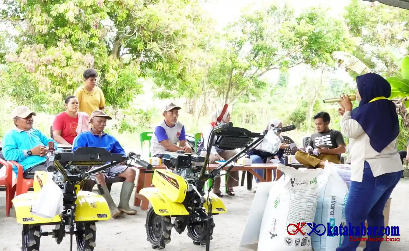PHR Bangkitkan Gairah Petani Jaga Ketapang di Lahan Holtikultura Bengkalis