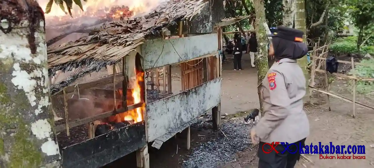 Polres Binjai dan Warga Gerebek Sarang Narkoba di Hamparan Perak, Gubuk Diduga Lokasi Transaksi Dibongkar