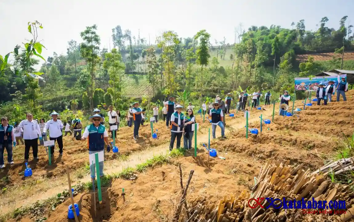 Perkuat Ekonomi Warga, IDSurvey Resmikan Program Desa Binaan di Nglarangan