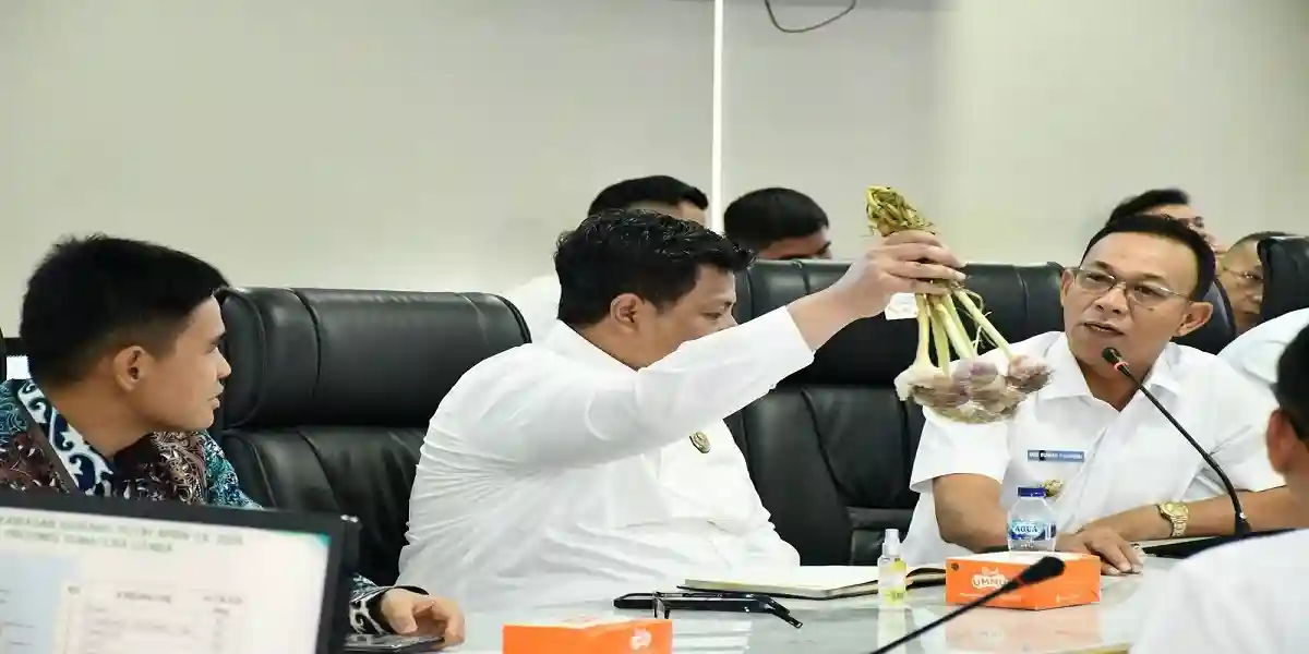 Samosir Targetkan 2.000 Hektare Lahan Bawang Putih dengan Dukungan Alsintan Modern