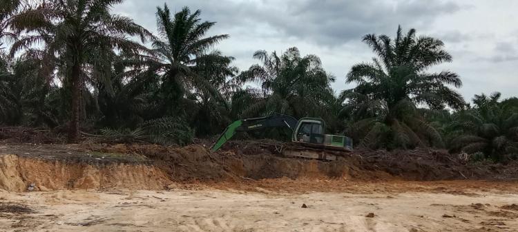 Disbunak Pelalawan Seru Warga Selektif Beli Lahan Untuk Perkebunan Kelapa Sawit