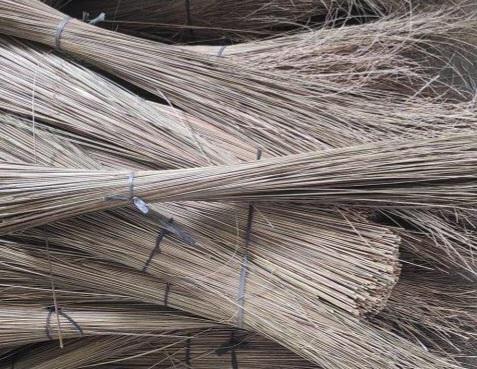 Lidi Sawit Bisa Jadi Sumber 'Cuan' Buat Petani Kelapa Sawit