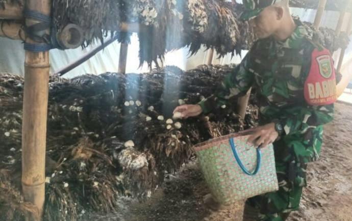 Cerita Sertu Een Setiyono, Masyarakat dan Limbah Sawit Sukses Hasilkan Fulus