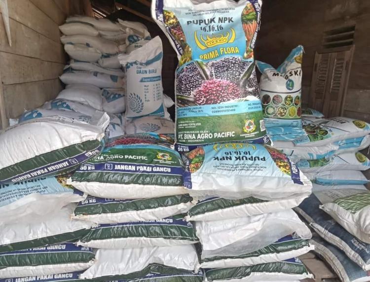 Miris Petani Sawit di Bengkulu, Pupuk Subsidi Dicabut, Non Subsidi Langka