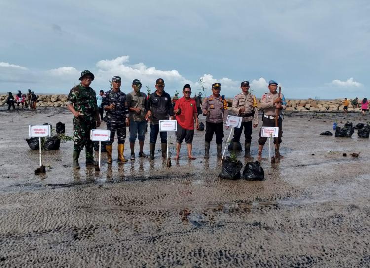 Tumbuhan Mangrove Mampu Atasi Abrasi