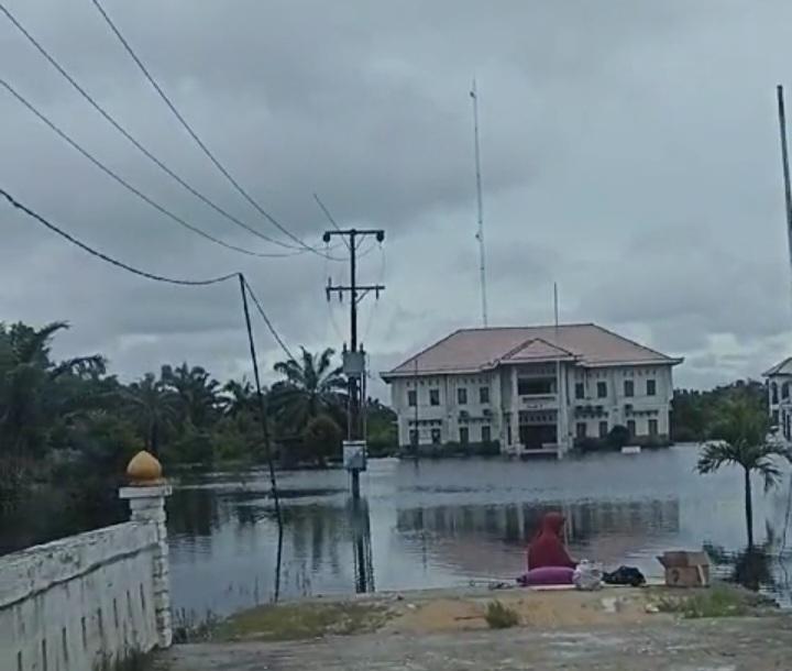 Banjir Parah Melanda, Pekebun Kelapa Sawit Nelangsa di Sebelah Barat Duri