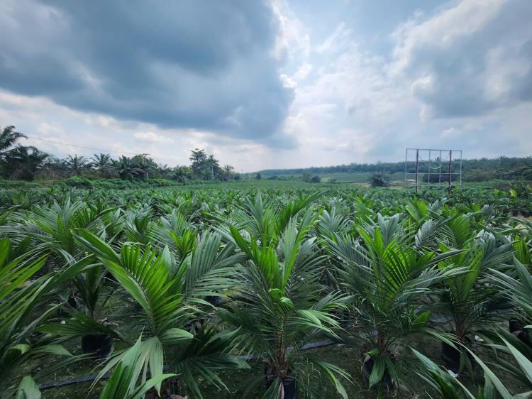 Gonta-ganti Regulasi Bikin Realisasi Sarpras Tak Sesuai Harapan