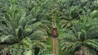 Tiga Lembaga Pekebun di Riau Minta Bantuan Perbaikan Jalan Kebun ke BPDPKS