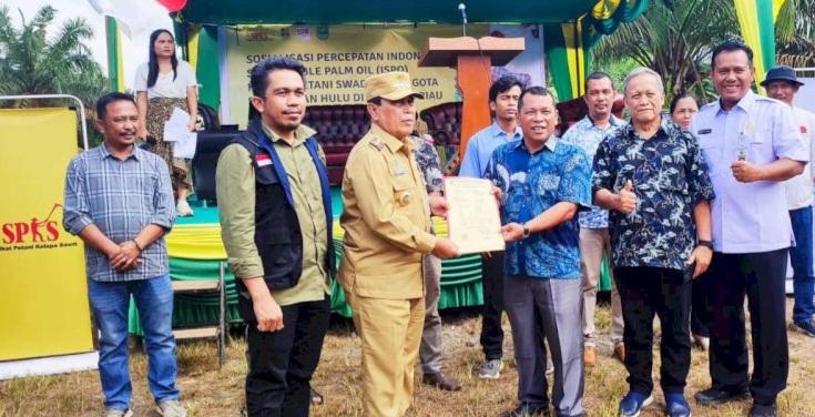 Dorong Petani Swadaya Percepatan ISPO Demi Sawit Berkelanjutan di Rohul