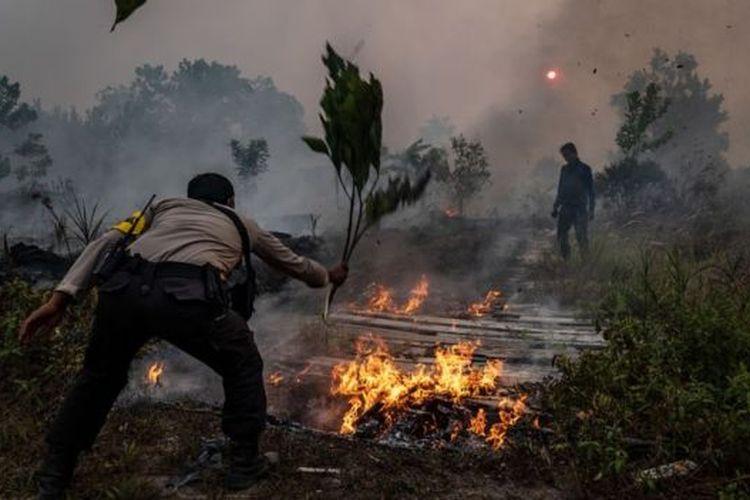 Pemprov Riau Resmi Tetapkan Status Siaga Darurat Karhutla
